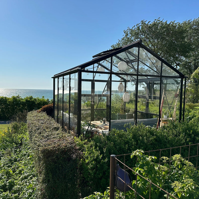 Drivhus Royale 9.8 M²