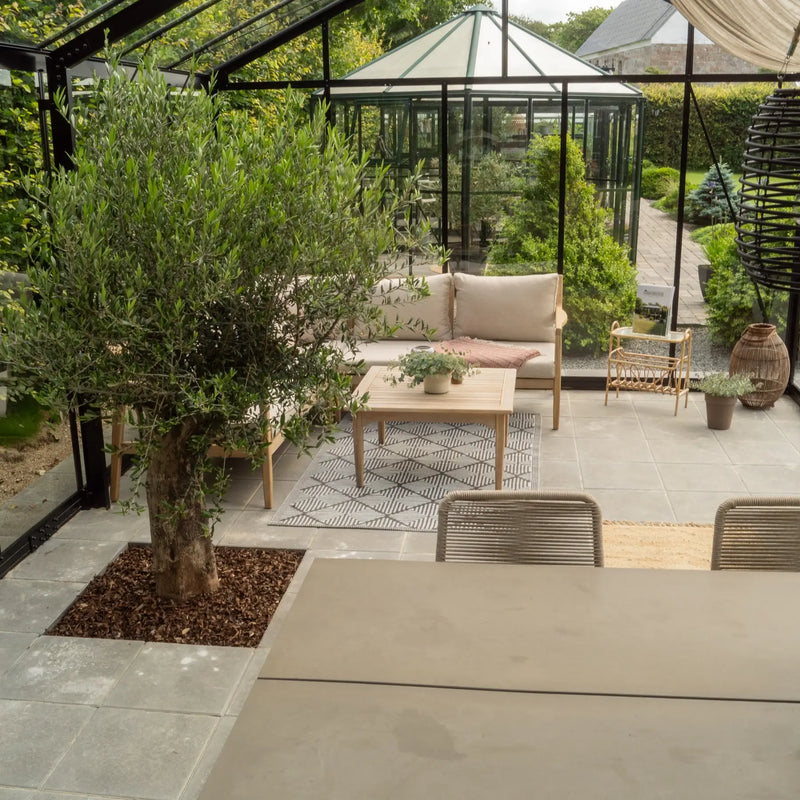 Drivhus Royale Plus 21 m²