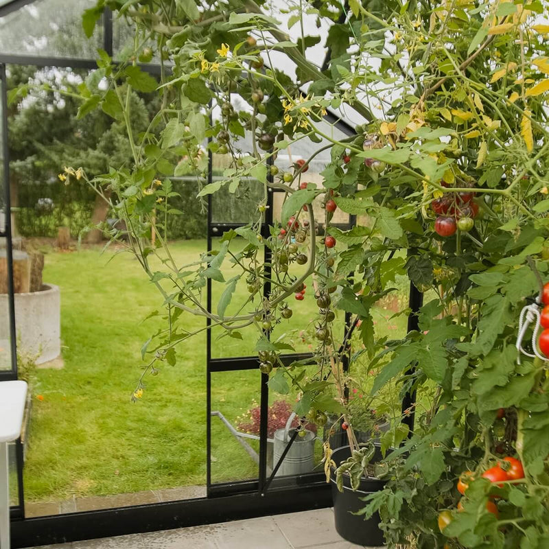 Drivhus Solid 10.5 M²