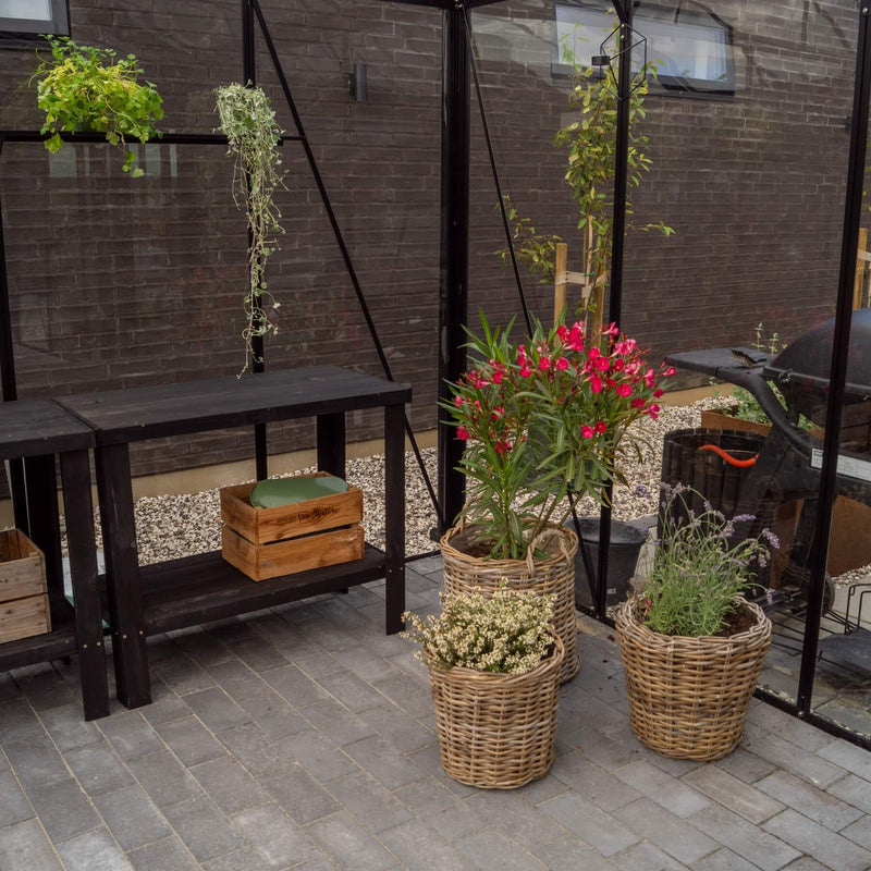 Drivhus Royale Plus 21 m²