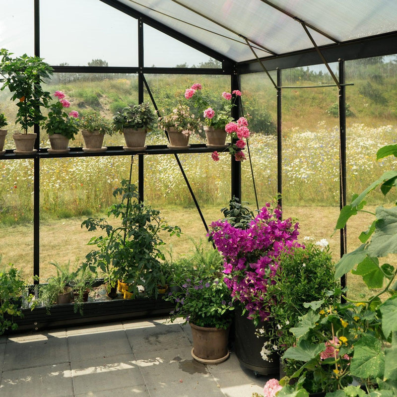 Royale 12,1 M² drivhus-Drivhuse-Hobbydrivhuse