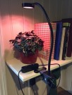 20 watt multi plantelyslampe med klipsfeste! thumbnail