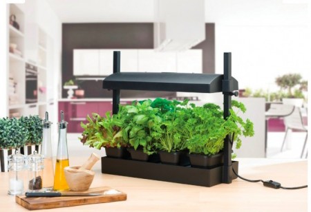 Nyhet! Micro Growlight garden
