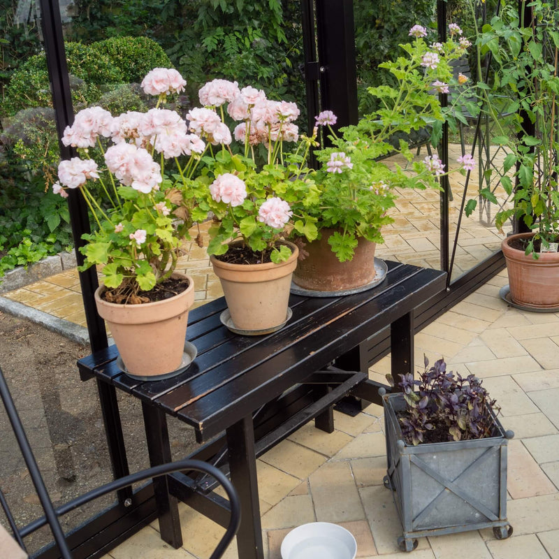 Drivhus Royale Plus 18 m²