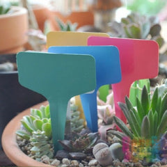 25 stk grønne etiketter til potter og plantebrett