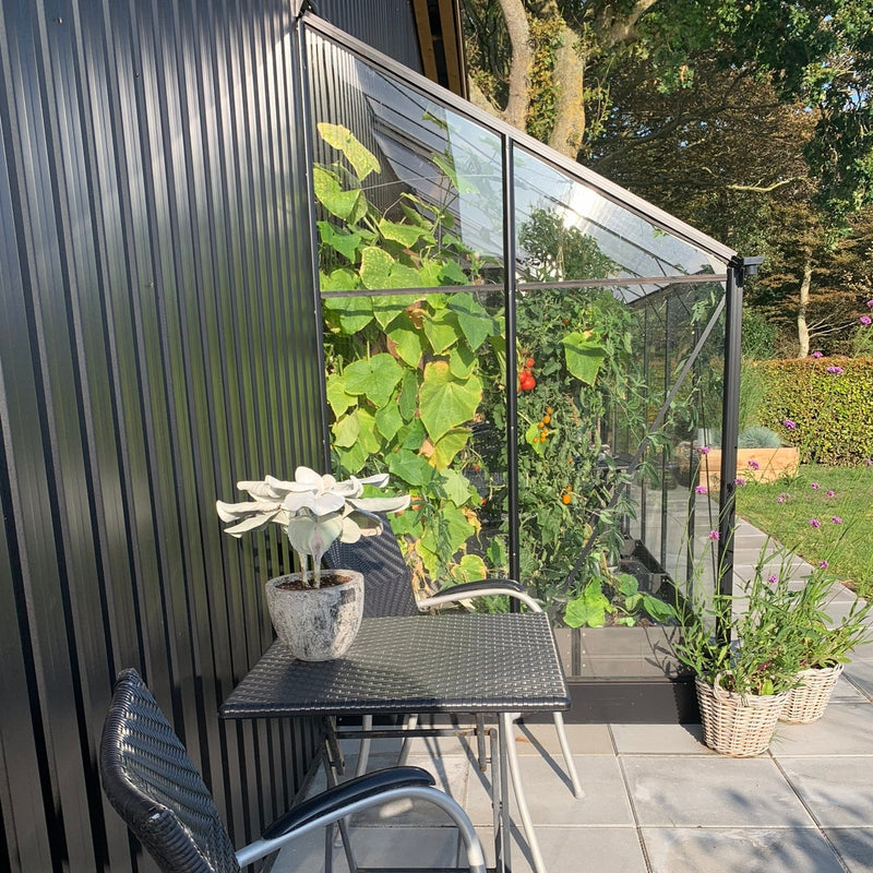 Veggdrivhus Solid 4.3 M²