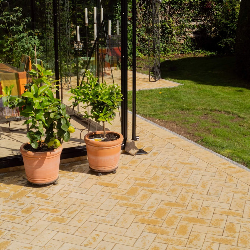 Drivhus Royale Plus 18 m²