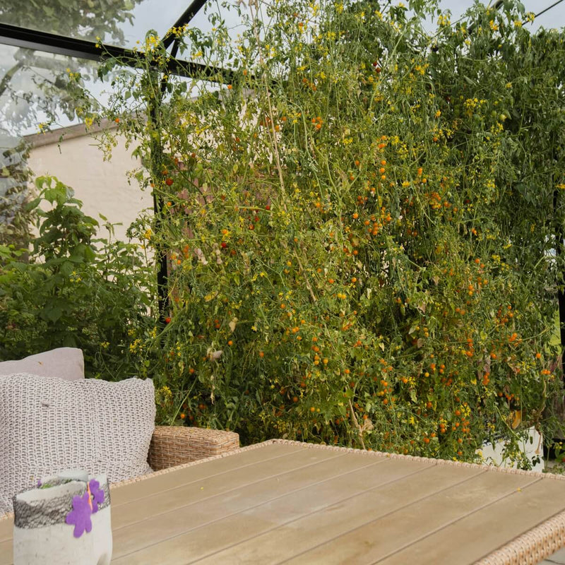 Drivhus Deluxe 14.5 M²