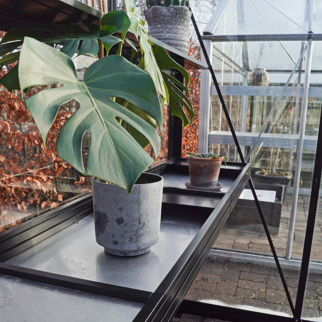 Royale starthylle - Bred