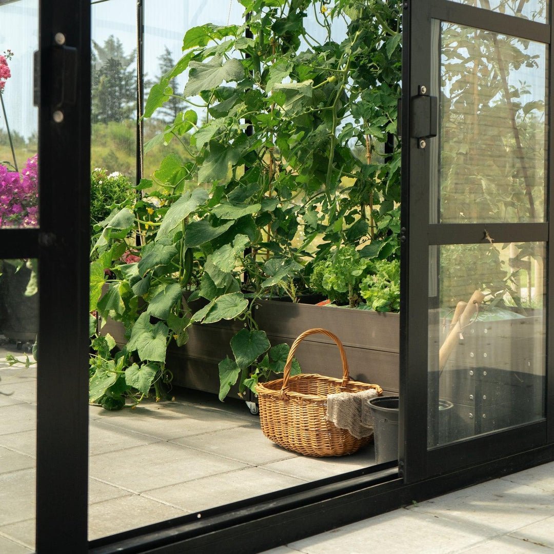 Royale 12,1 M² drivhus-Drivhuse-Hobbydrivhuse